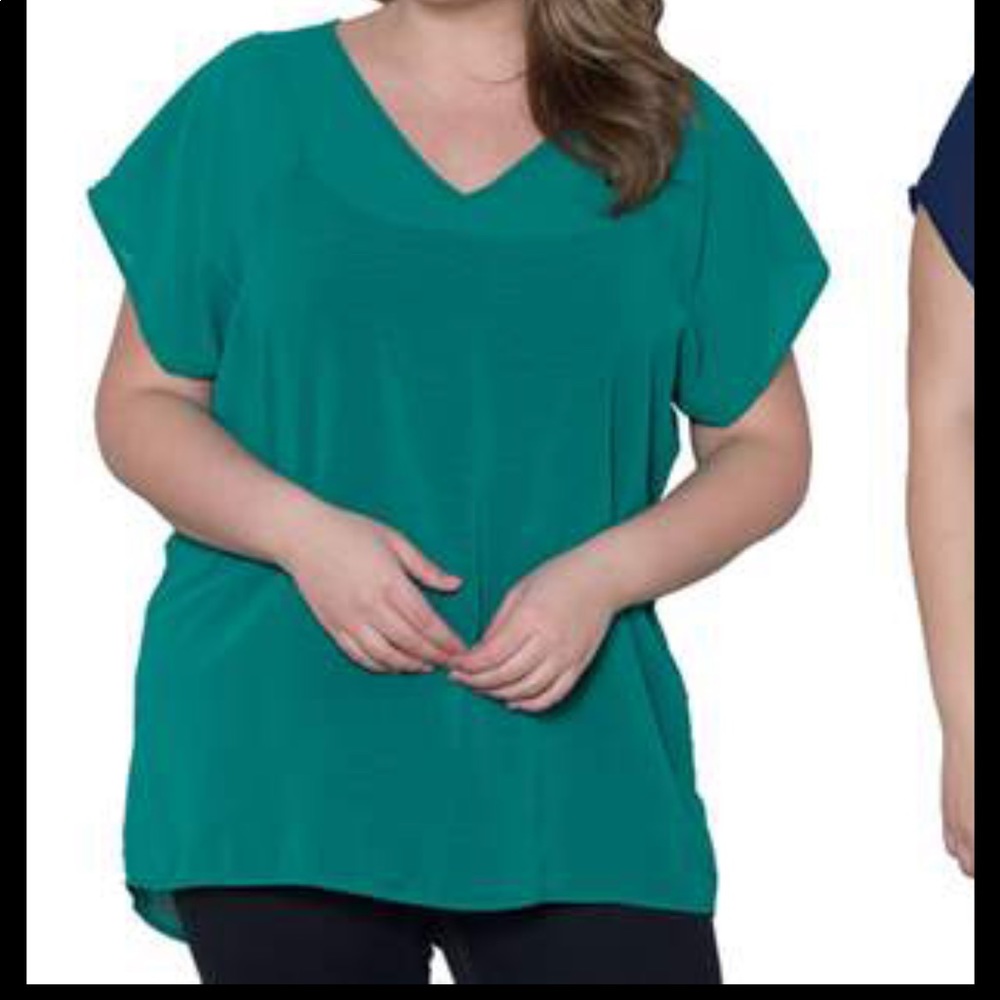 SWAK V-Neck Sheer Top - Picture 6 of 6